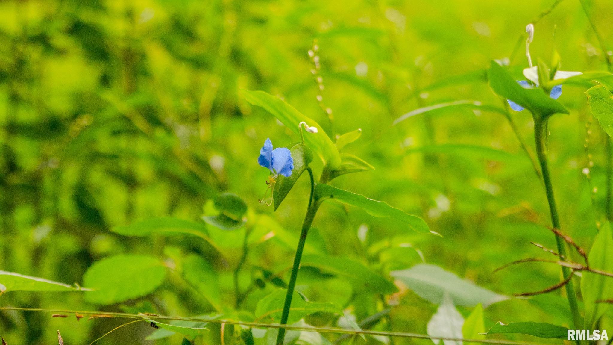 8411 Brimberry Road Alma, IL 62807 - Photo 78 of 81