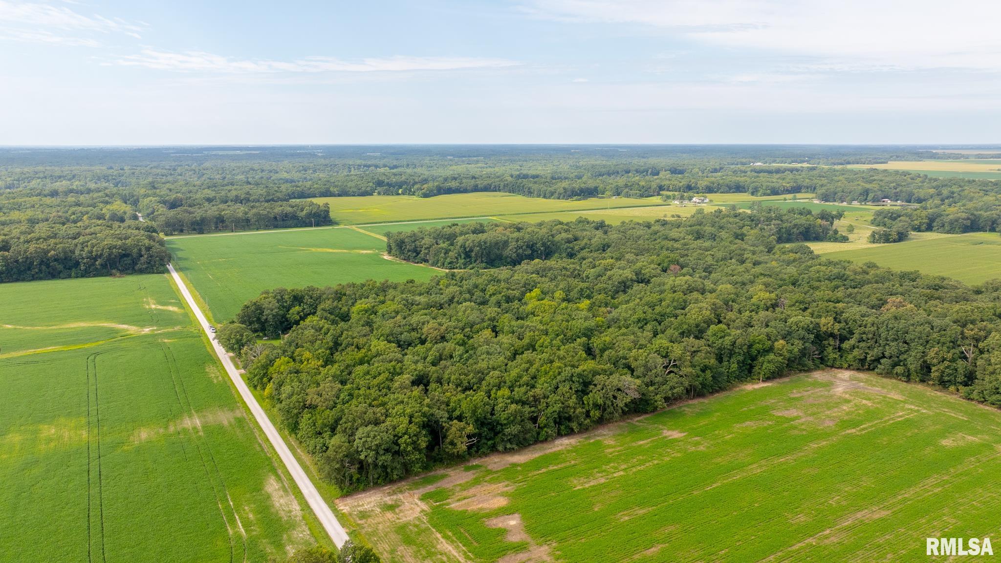 8411 Brimberry Road Alma, IL 62807 - Photo 8 of 81