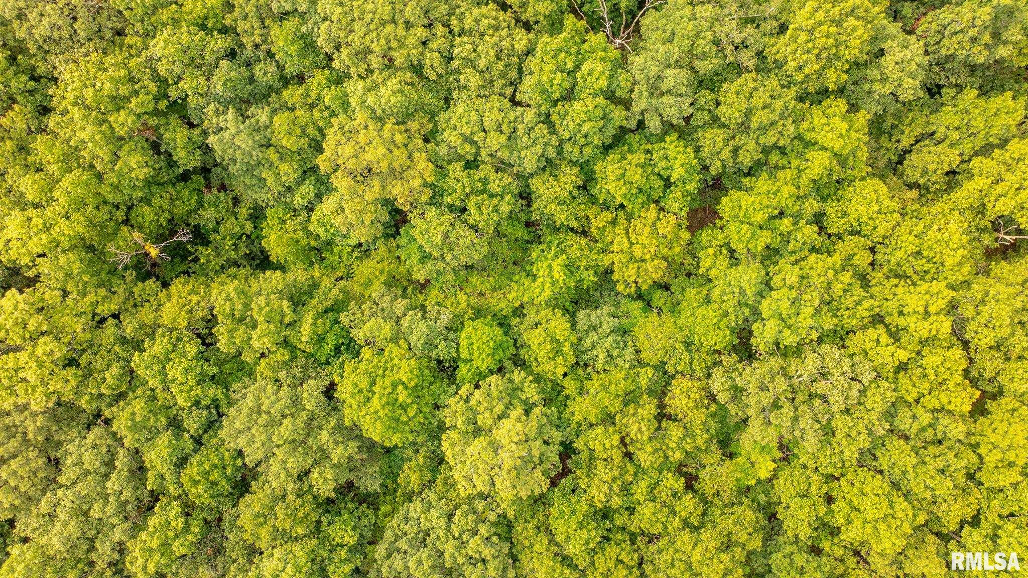 8411 Brimberry Road Alma, IL 62807 - Photo 9 of 81