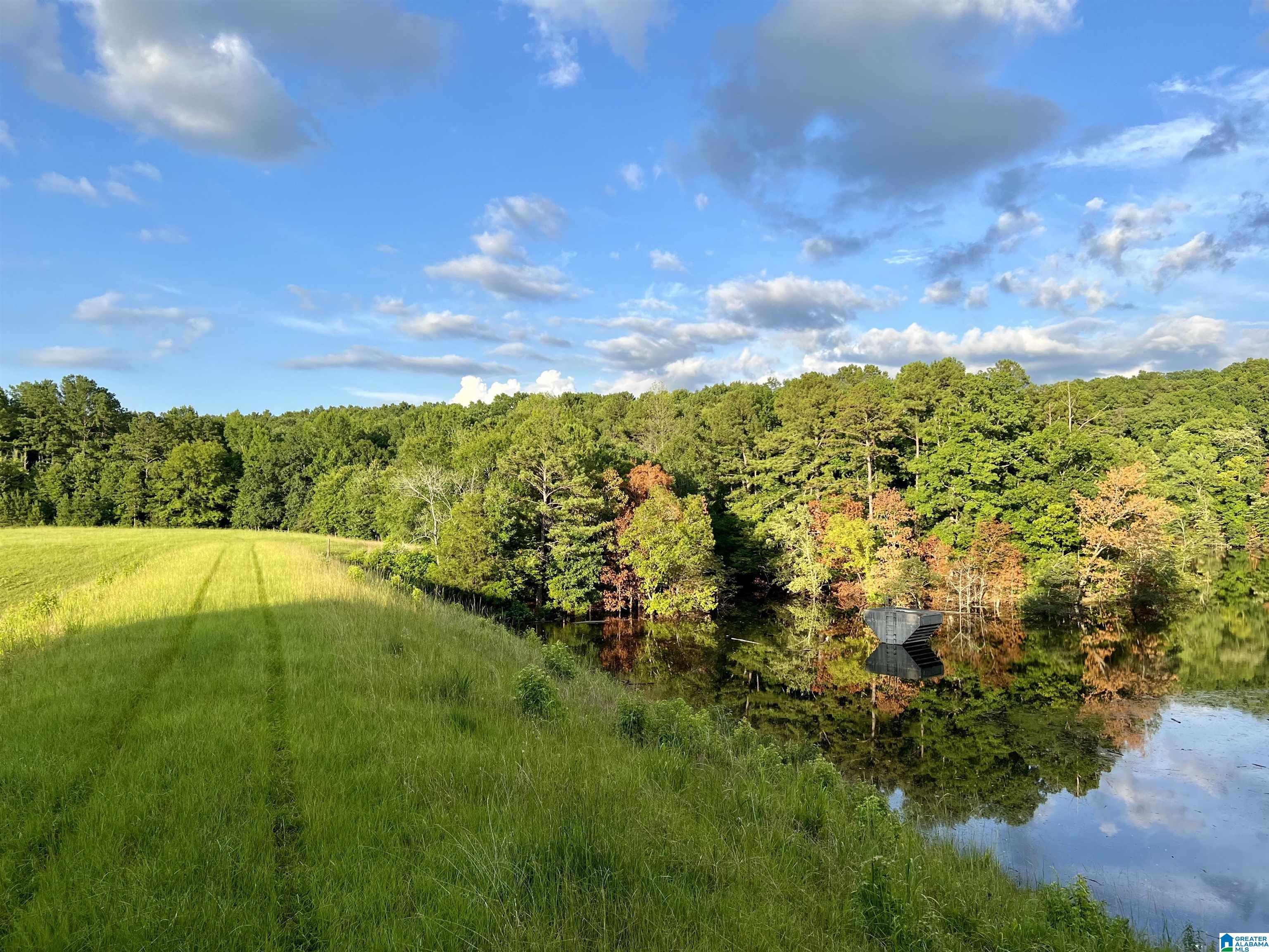1515 Kelly Ranch Road, Unit 138 ACRES / Talladega, AL 35160 - Photo 8 of 42