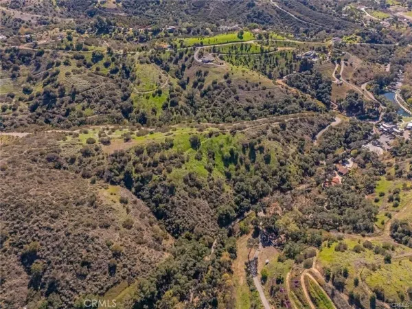 a view of a yard with a trees