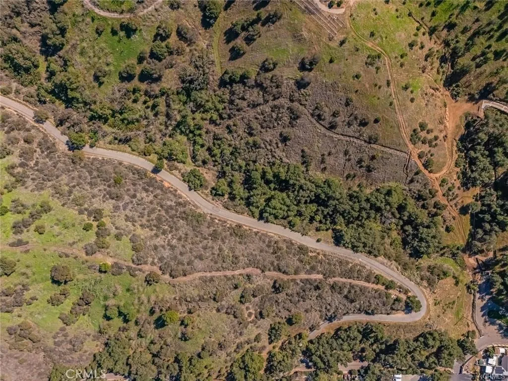 0 Stewart Canyon Road Fallbrook, CA 92028 - Photo 10 of 19 a view of a forest with a forest
