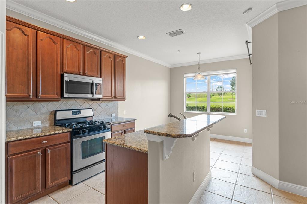 868 Assembly Court Reunion, FL 34747 - Photo 13 of 43