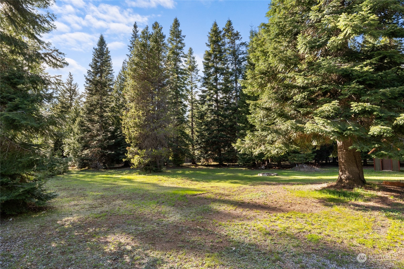81 Norton Road Easton, WA 98925 - Photo 8 of 38 Gallery Image 8