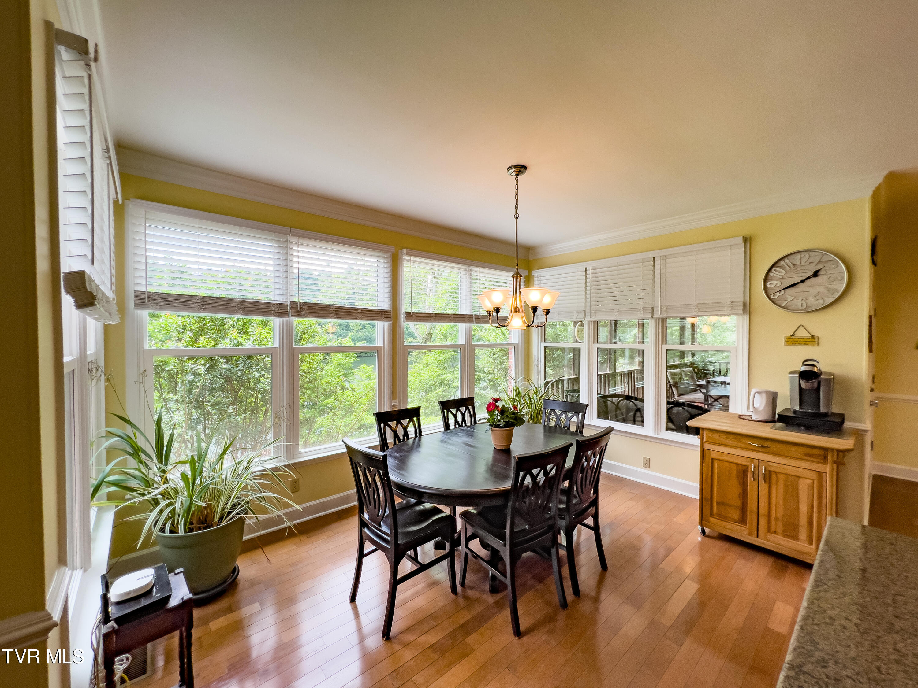 409 Pitt Road Kingsport, TN 37663 - Photo 19 of 49 Splash!-21