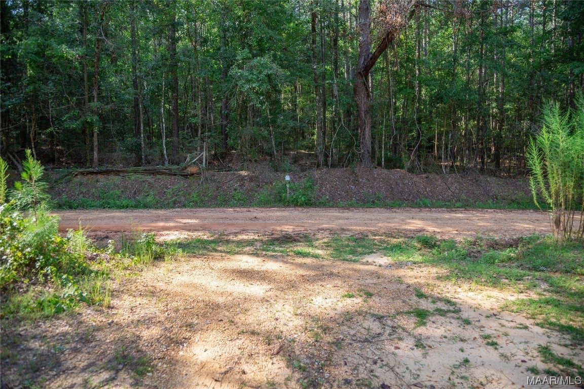 18.5-acres Free Road Brantley, AL 36009 - Photo 26 of 30 Gallery Image 26