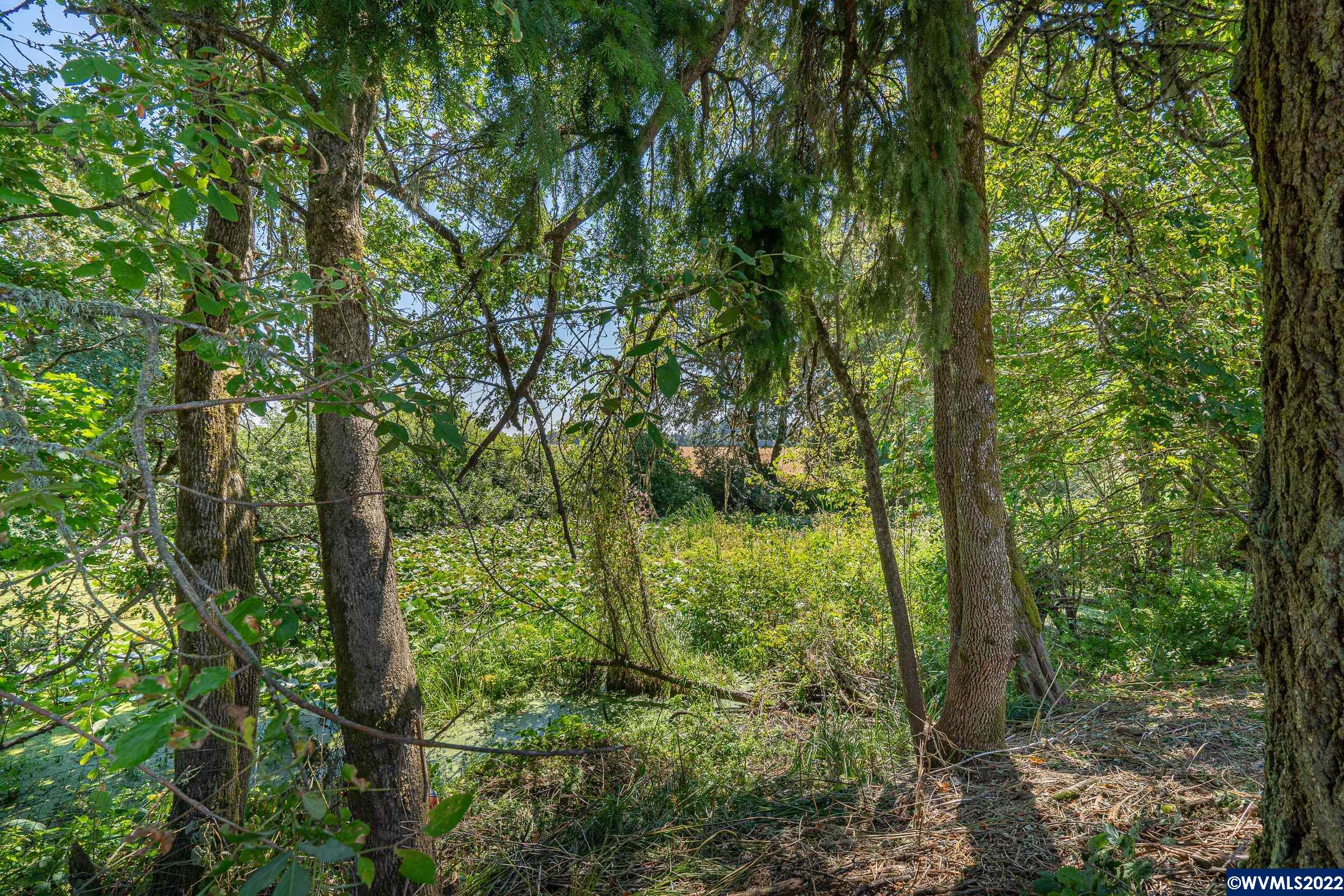 003 Southeast White Oak (next To) Road Corvallis, OR 97333 - Photo 7 of 24
