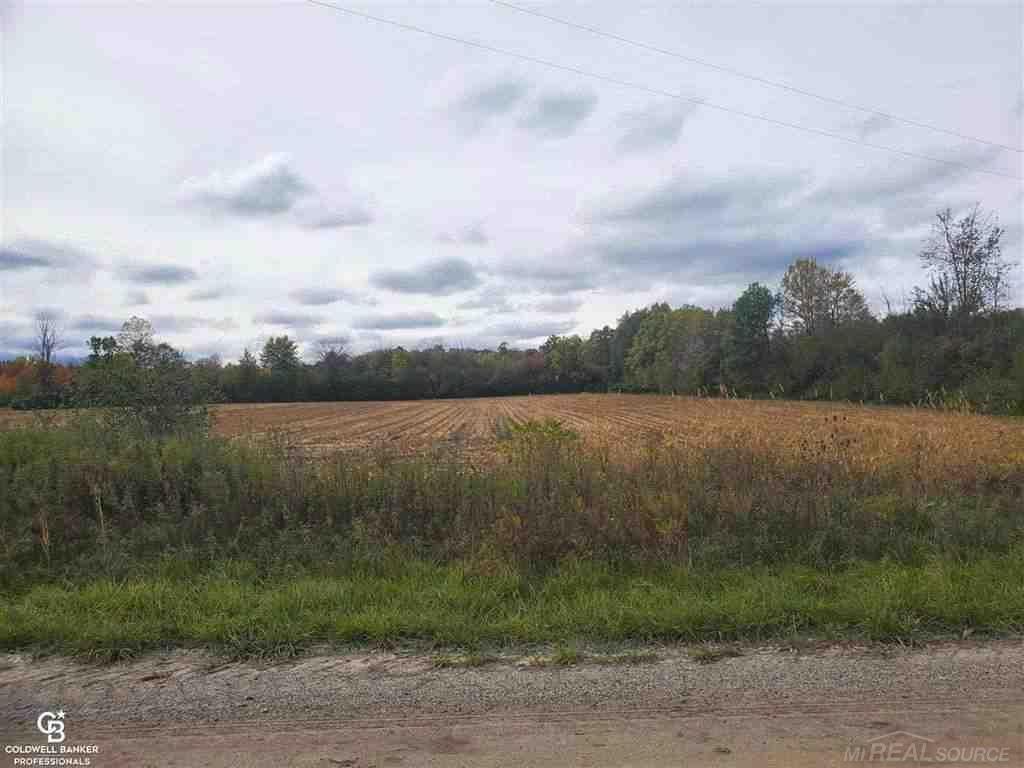 0 Reddicliffe Road Melvin, MI 48454 - Photo 3 of 6