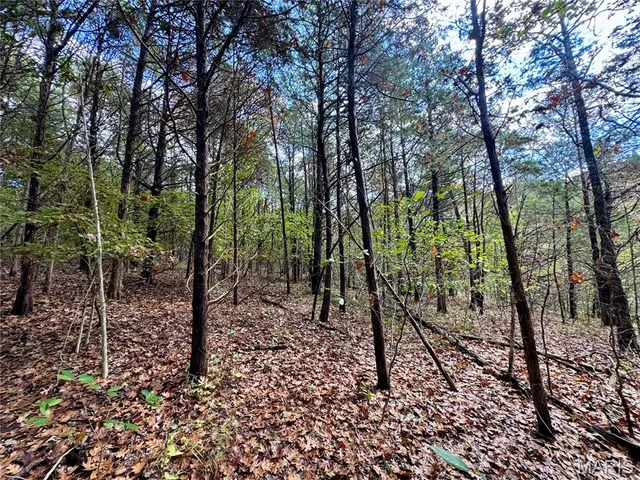 $100,000 | 4-ac Haverstick School Road, Festus, MO 63028