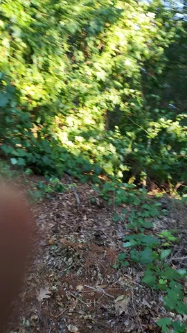 $284,000 | 17 Glenvale Avenue, Billerica, MA 01821