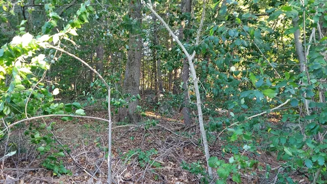 $284,000 | 17 Glenvale Avenue, Billerica, MA 01821