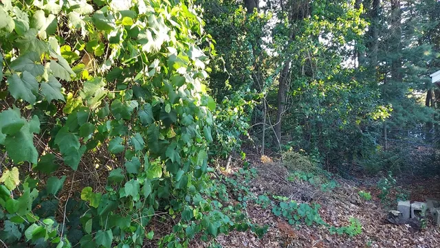 $284,000 | 17 Glenvale Avenue, Billerica, MA 01821