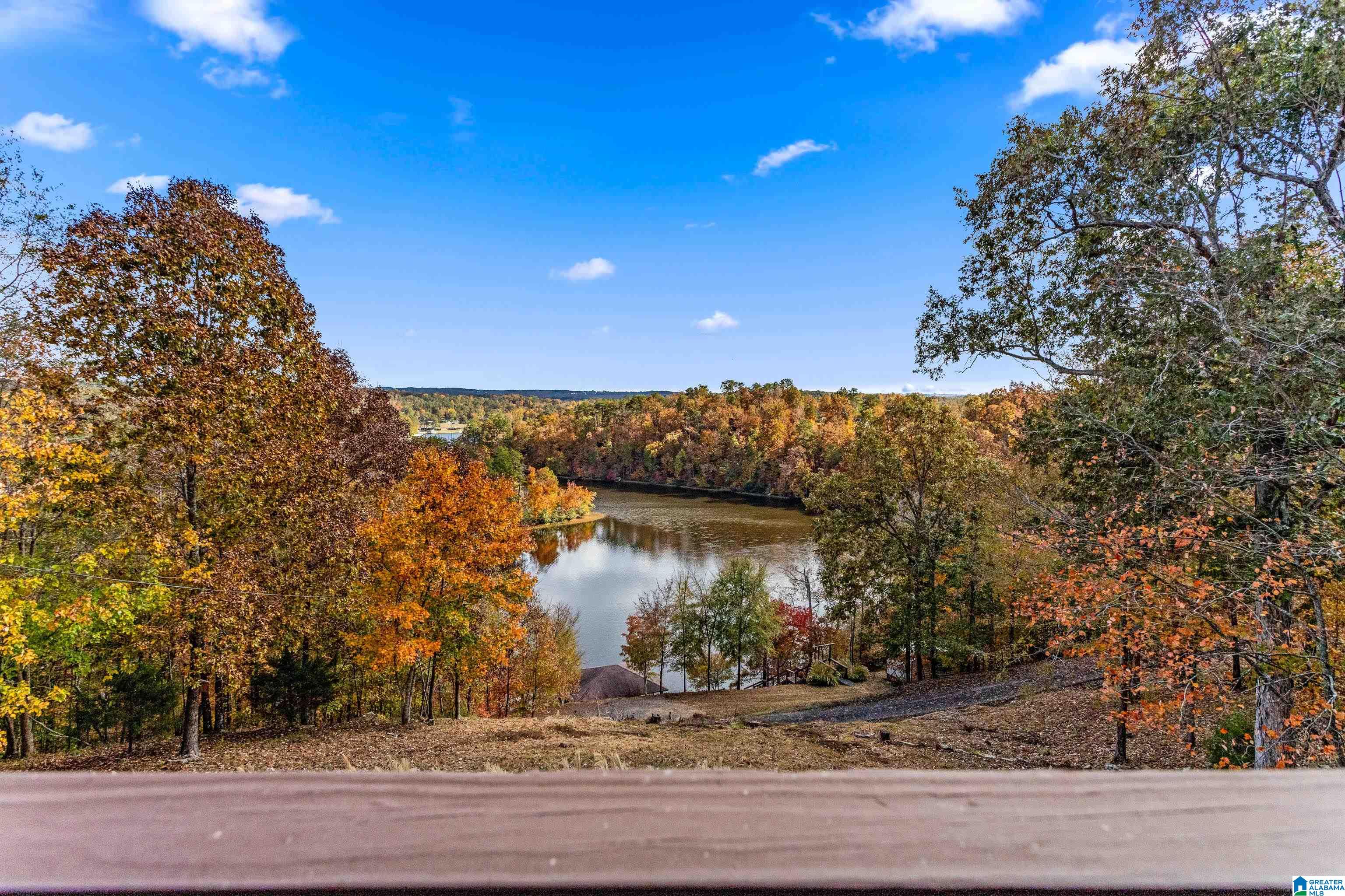 55 Lakeshore Loop Oneonta, AL 35121 - Photo 26 of 48