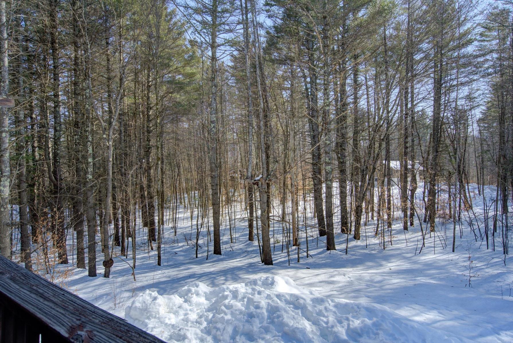 47 Burnt Hill Road Winhall, VT 05340 - Photo 15 of 29