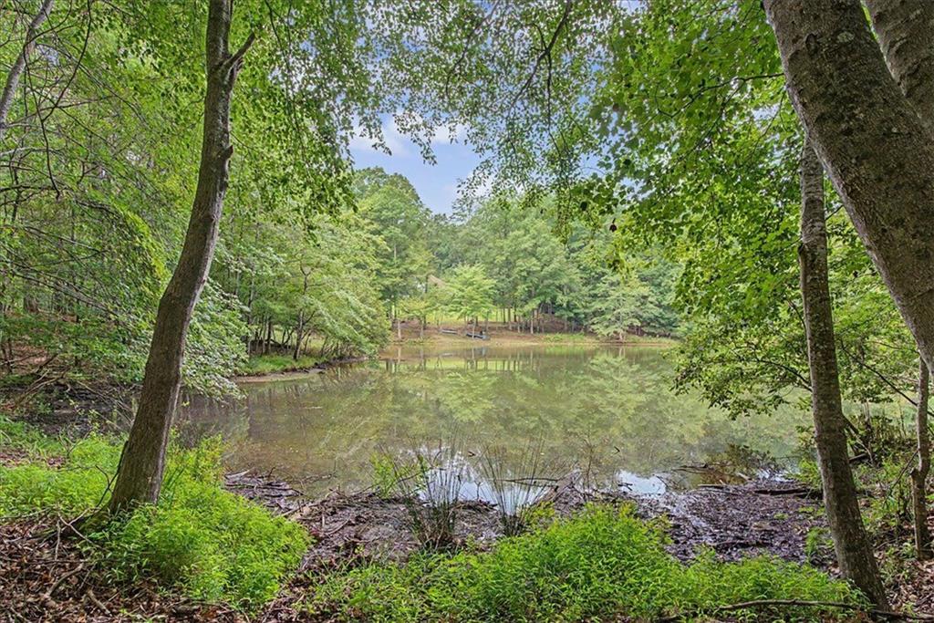 590 South Alexander Creek Road Newnan, GA 30263 - Photo 47 of 52 Gallery Image 47