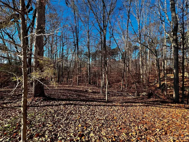 a view of house with a yard