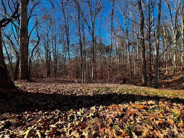 a view of a park with large trees