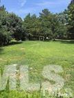 4909 Mitchell Mill Road Wake Forest, NC 27587 - Photo 1 of 3 a view of yard with green space