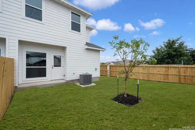 a backyard of a house with plants and tree