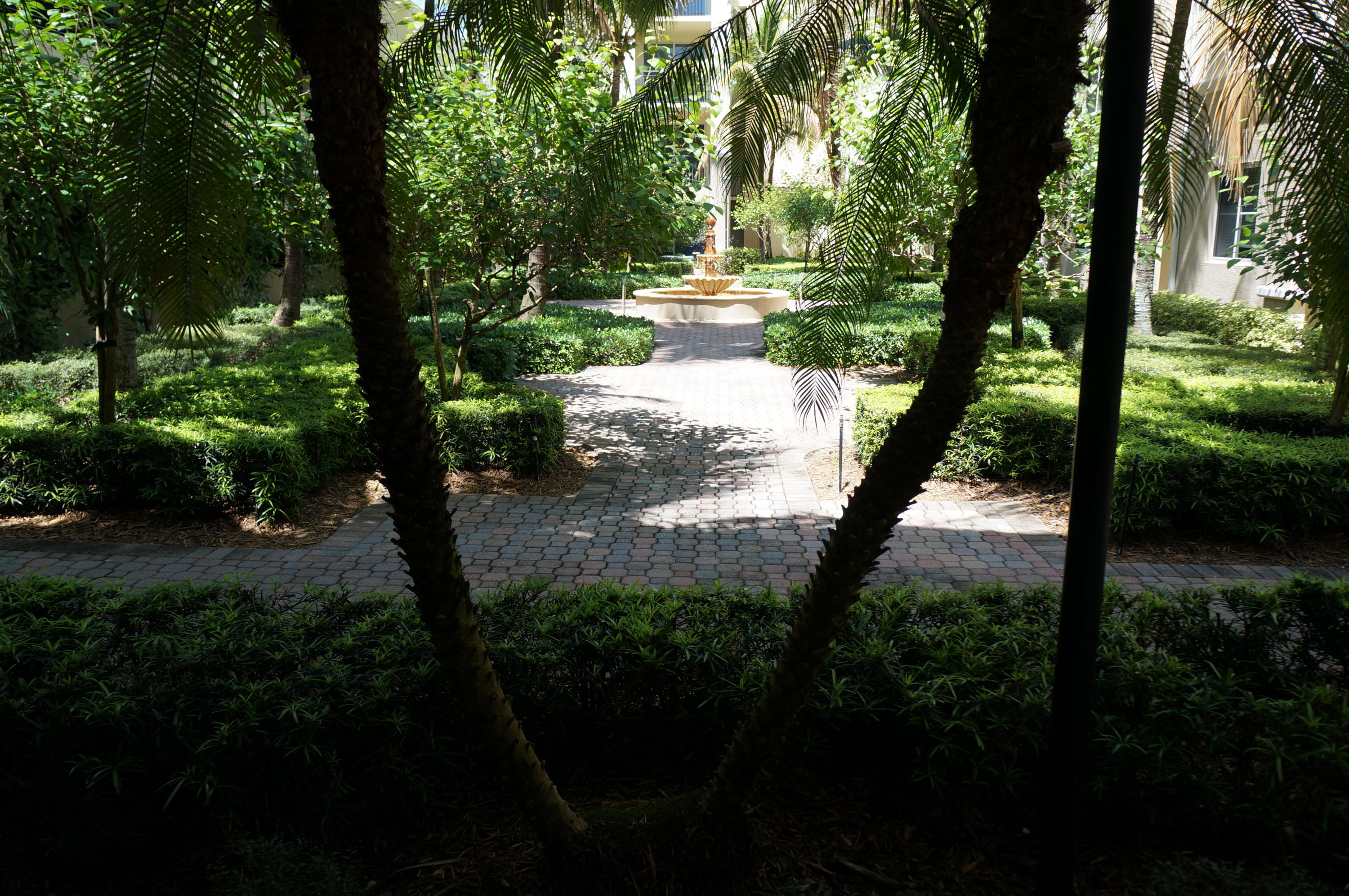 1121 Renaissance Way, Unit 121 Boynton Beach, FL 33426 - Photo 11 of 28 a view of a yard with plants and large trees