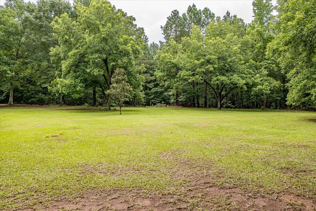 3198 Ray Owens Road Appling, GA 30802 - Photo 36 of 41 Back Yard