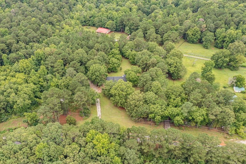3198 Ray Owens Road Appling, GA 30802 - Photo 37 of 41 Wooded Privacy