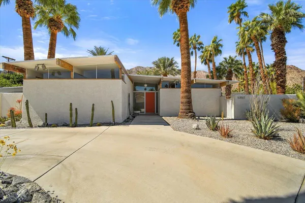 a palm tree sitting in front of a house with palm trees