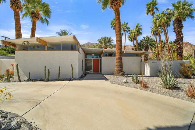 a palm tree sitting in front of a house with palm trees