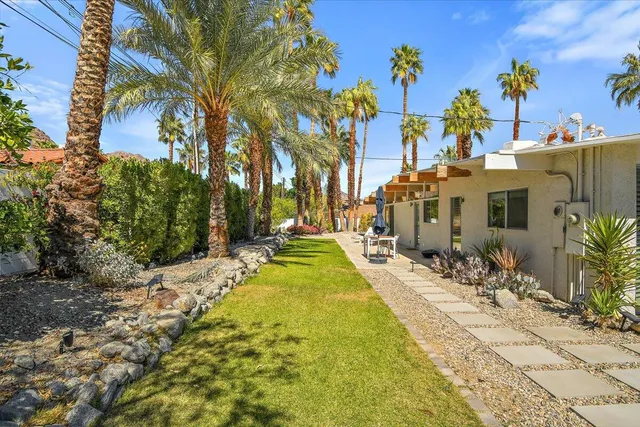 a view of a backyard with palm trees