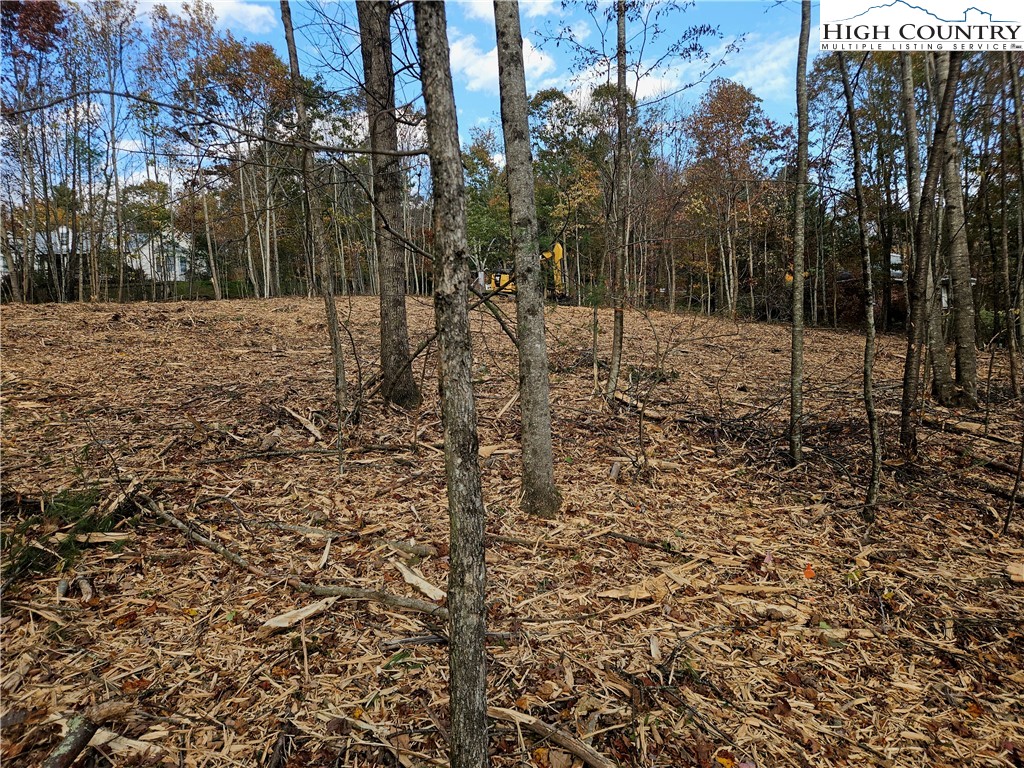 Lot 2 Whispering Pines Road Boone, NC 28607 - Photo 13 of 16 Gallery Image 13