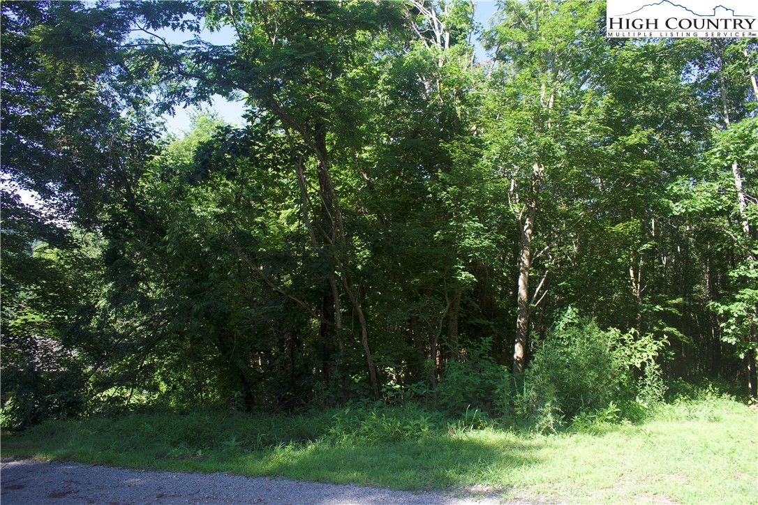 Lot 2 Whispering Pines Road Boone, NC 28607 - Photo 3 of 16 Gallery Image 3