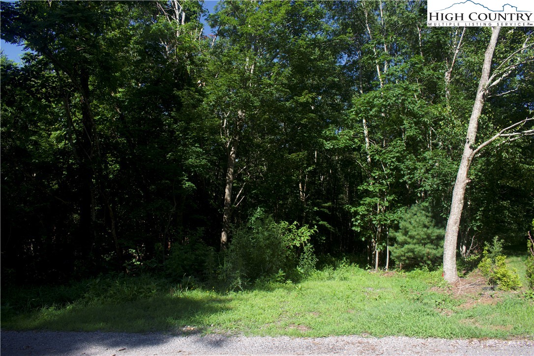 Lot 2 Whispering Pines Road Boone, NC 28607 - Photo 5 of 16 Gallery Image 5