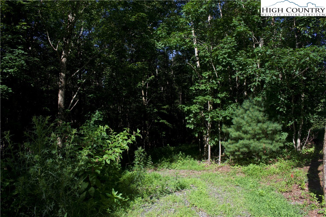 Lot 2 Whispering Pines Road Boone, NC 28607 - Photo 6 of 16 Gallery Image 6