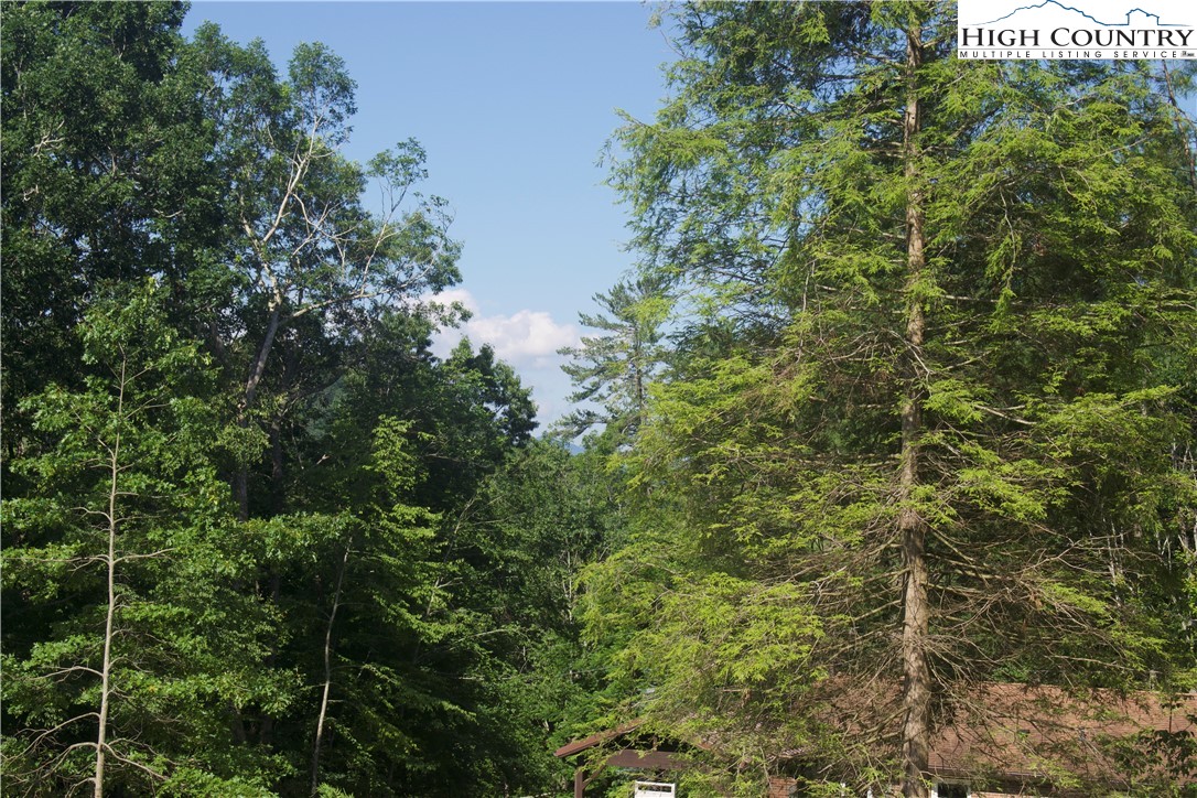 Lot 2 Whispering Pines Road Boone, NC 28607 - Photo 7 of 16 Gallery Image 7