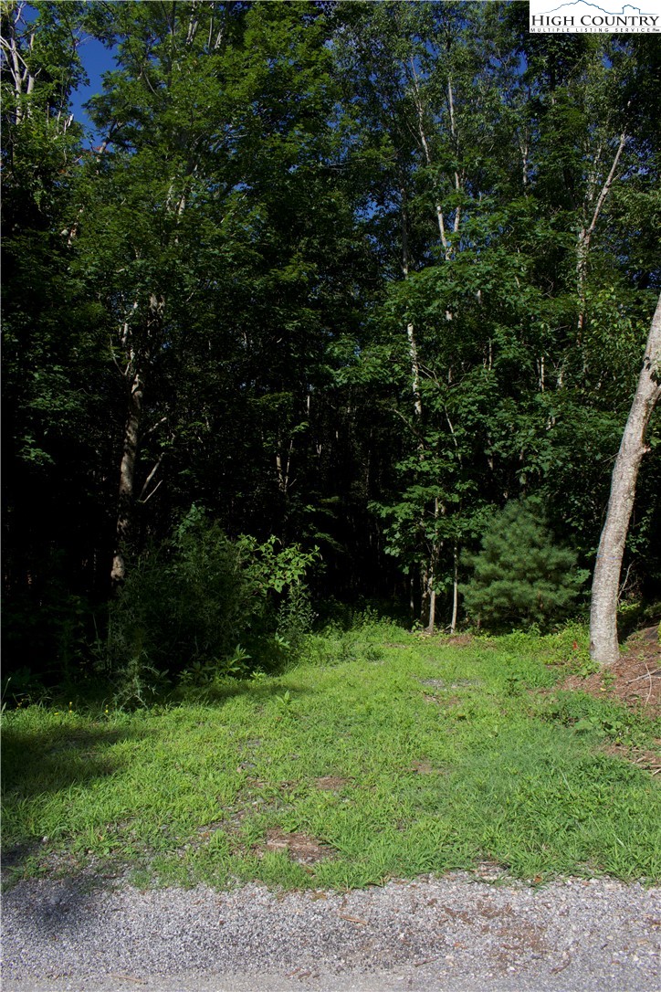 Lot 2 Whispering Pines Road Boone, NC 28607 - Photo 8 of 16 Gallery Image 8