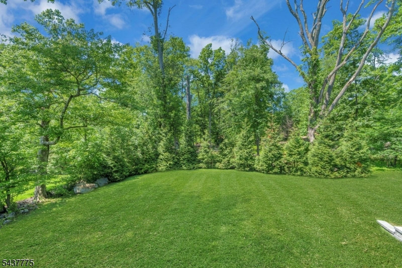 16 Exeter Road Short Hills, NJ 07078 - Photo 48 of 49