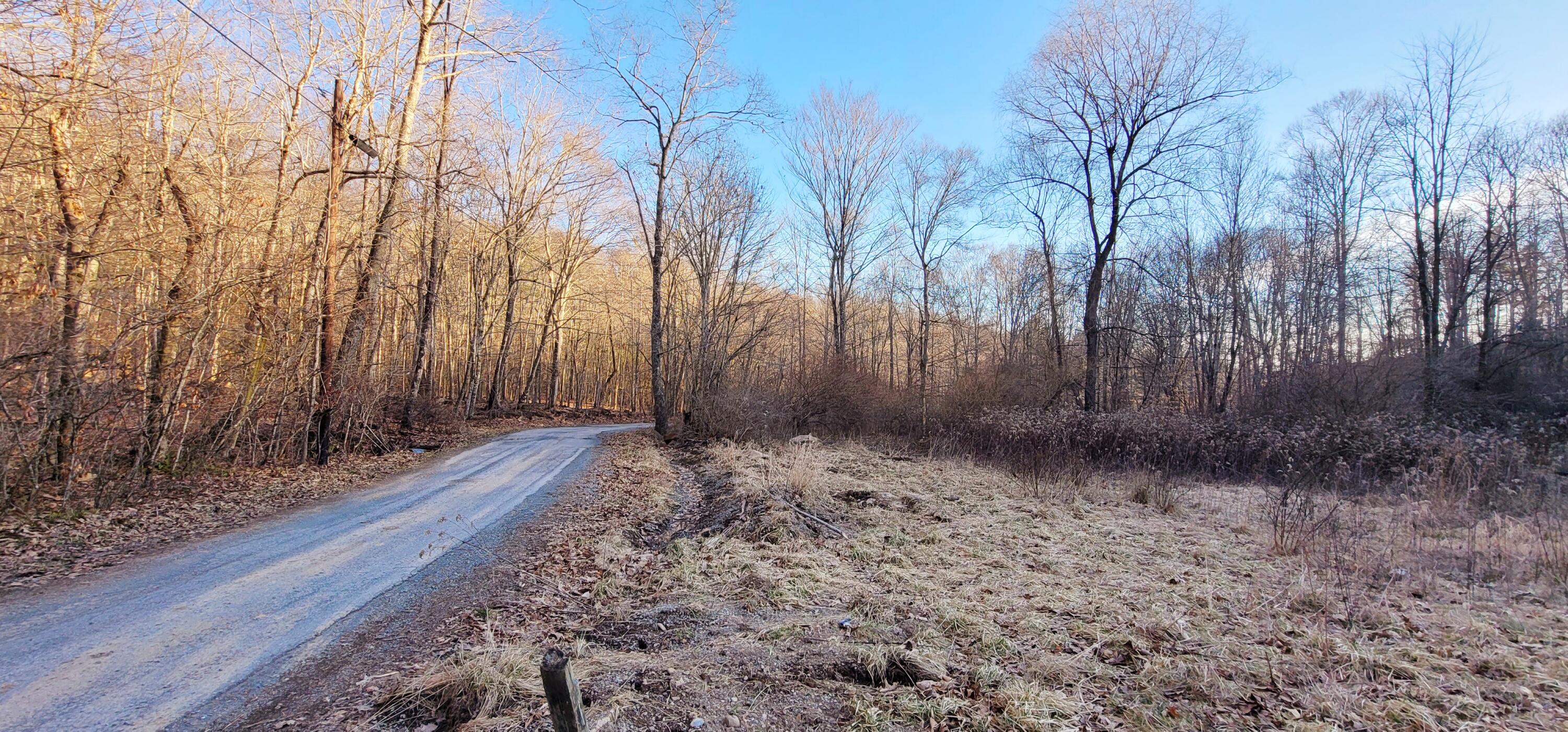 1191 Will Dodd Road Jumping Branch, WV 25969 - Photo 3 of 20 Gallery Image 3