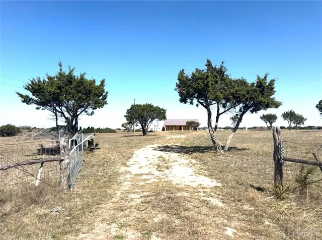 a view of a yard with a tree