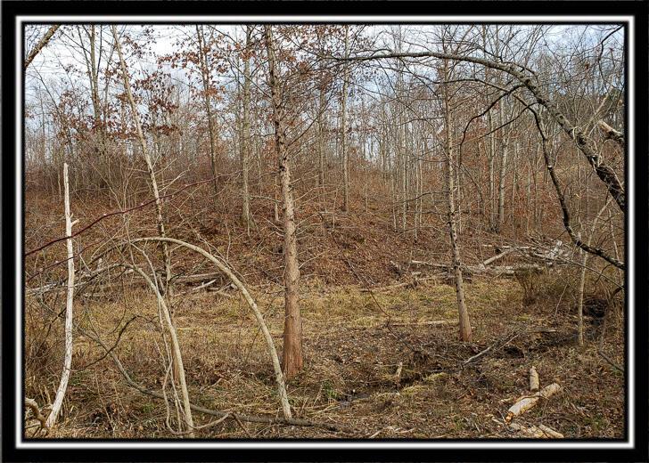 0 Edmundson Road Vinton, OH 45686 - Photo 43 of 60 CT-43
