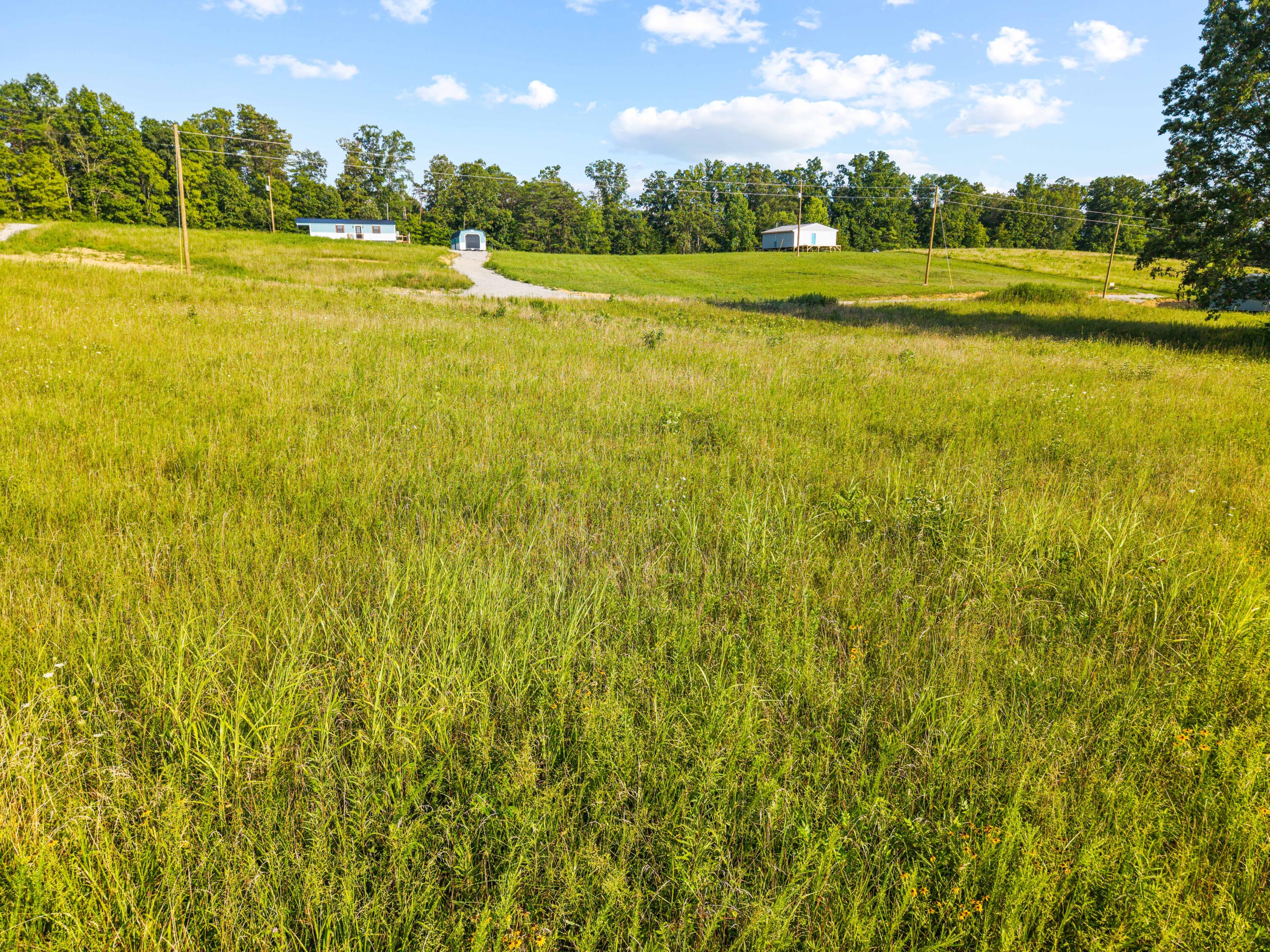 Lot 38 Spring Branch Hollow Road Nancy, KY 42544 - Photo 11 of 13 Spring Branch Lot Photo-10