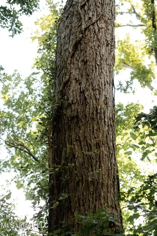 $129,500 | 595 Laney Camp Road, Vicksburg, MS 39183