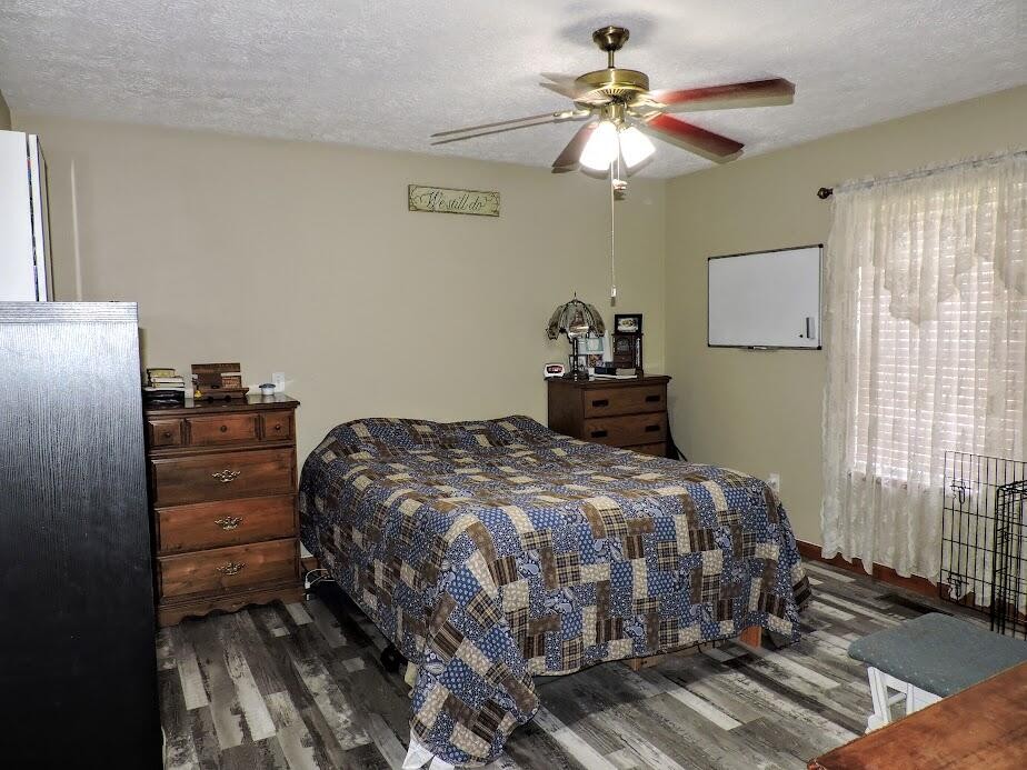 917 Macedonia Road Spring City, TN 37381 - Photo 9 of 27 Gallery Image 9