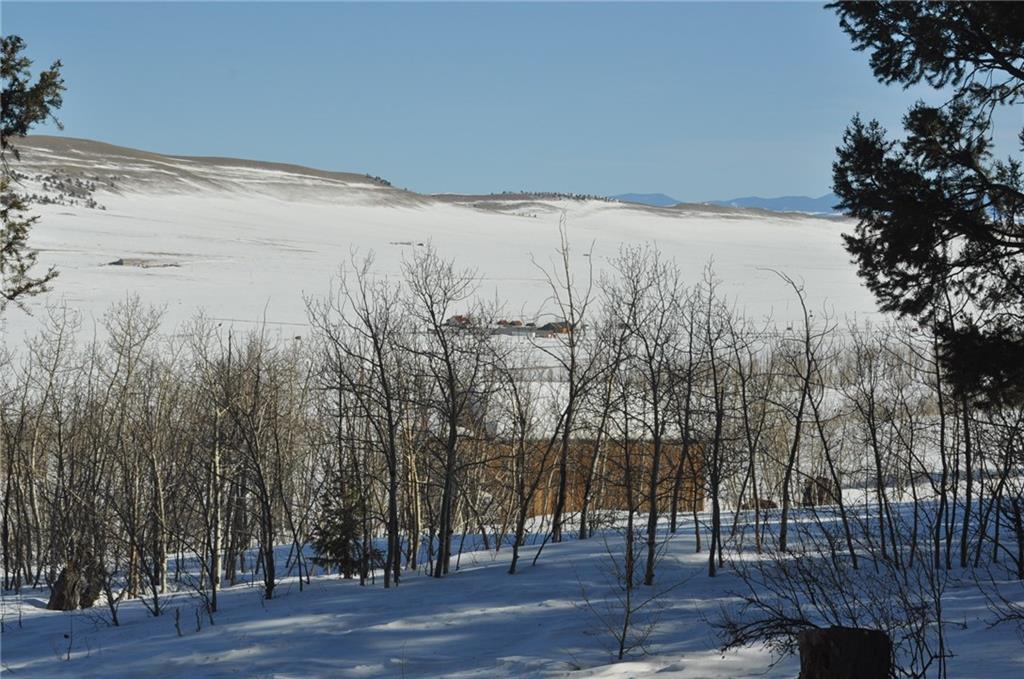 2424 Redhill Road Fairplay, CO 80440 - Photo 23 of 33 Gallery Image 23
