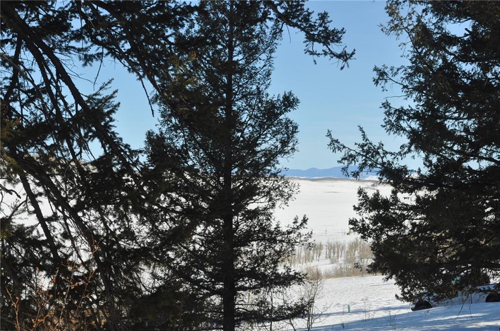 2424 Redhill Road Fairplay, CO 80440 - Photo 29 of 33 Gallery Image 29