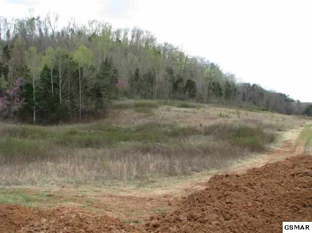 274 Deep Springs Road Dandridge, TN 37725 - Photo 1 of 1