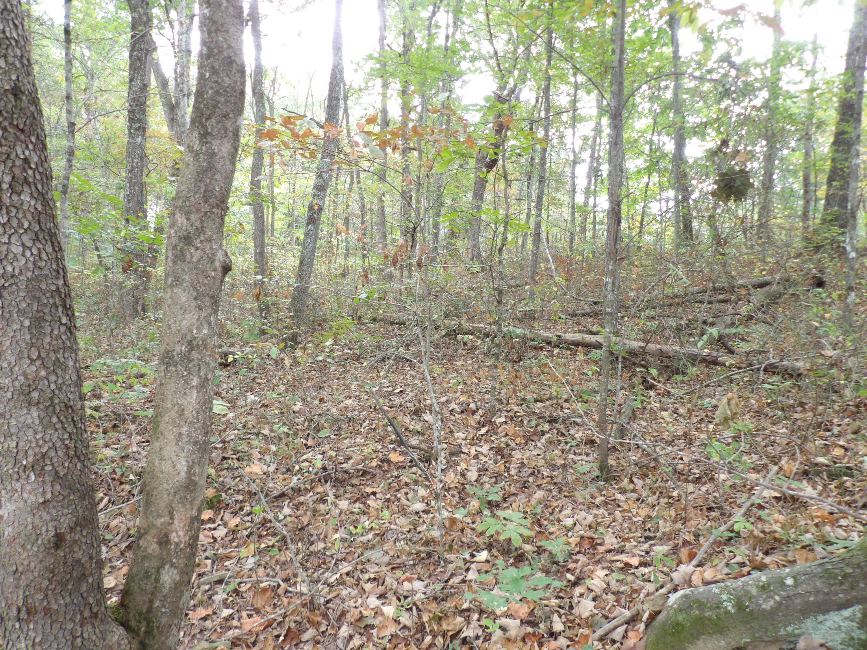 0 Deerhead Road, Unit 1 Dunlap, TN 37327 - Photo 14 of 29 100_0850