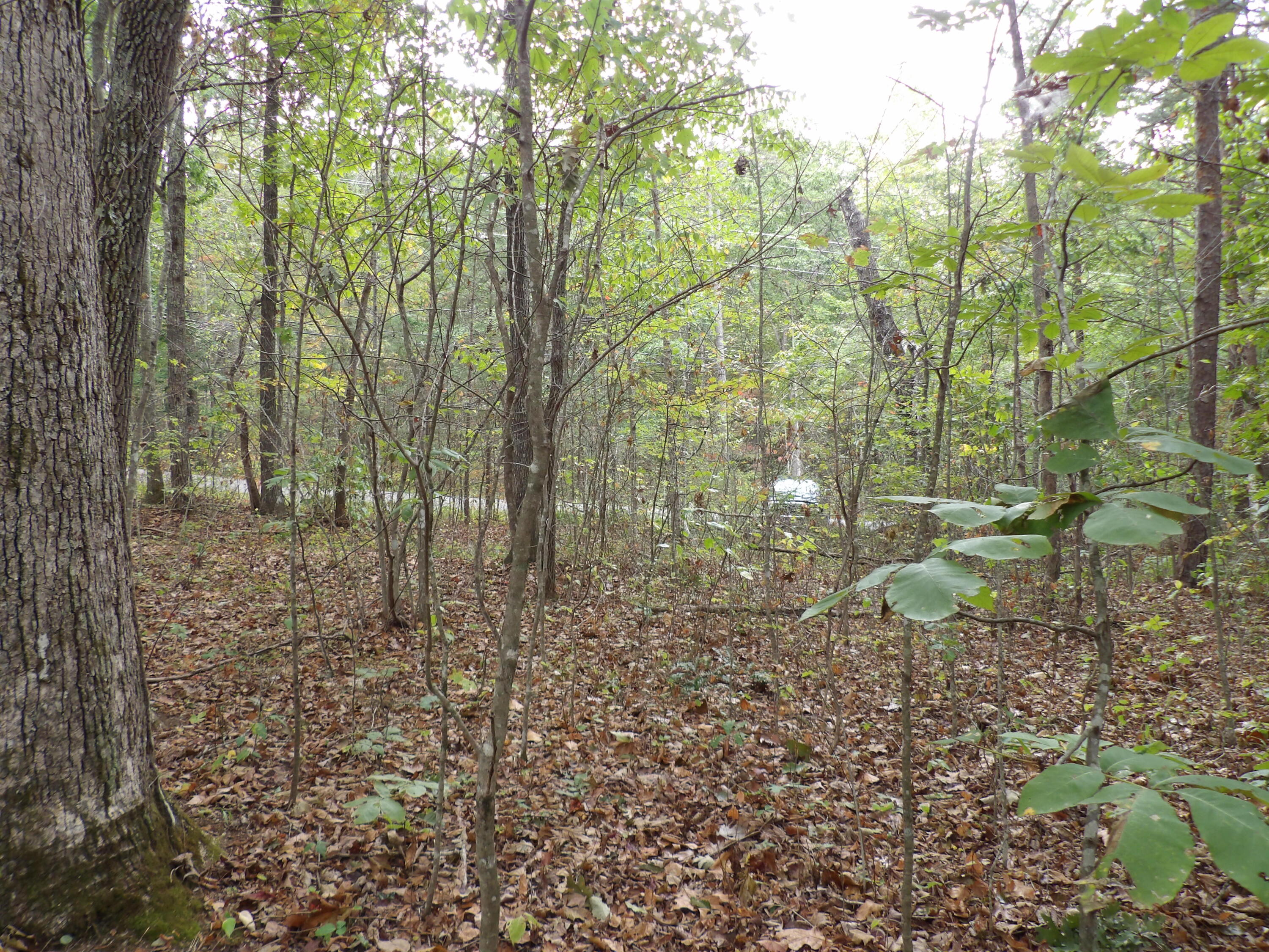 0 Deerhead Road, Unit 1 Dunlap, TN 37327 - Photo 17 of 29 100_0853