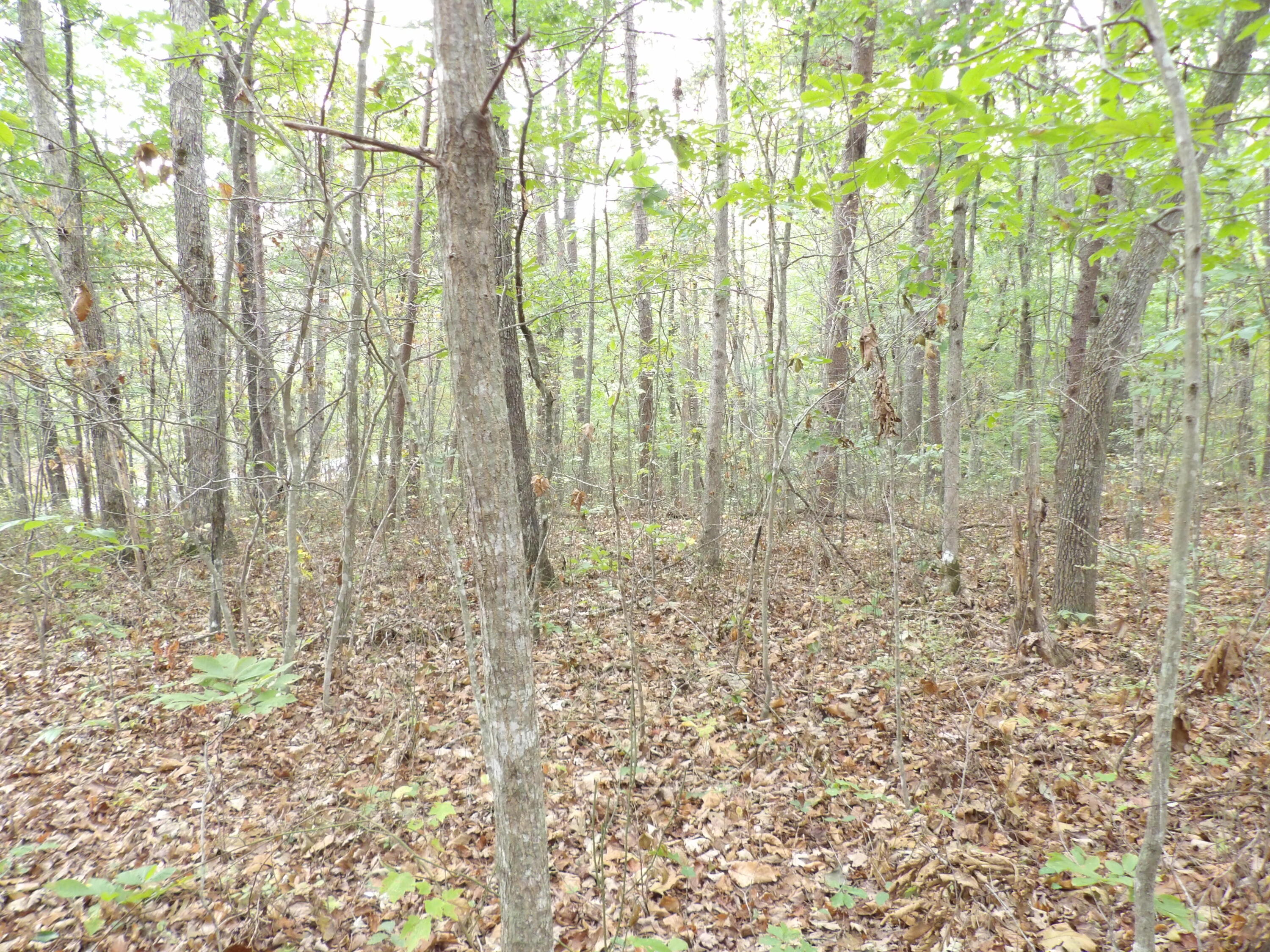0 Deerhead Road, Unit 1 Dunlap, TN 37327 - Photo 18 of 29 100_0854