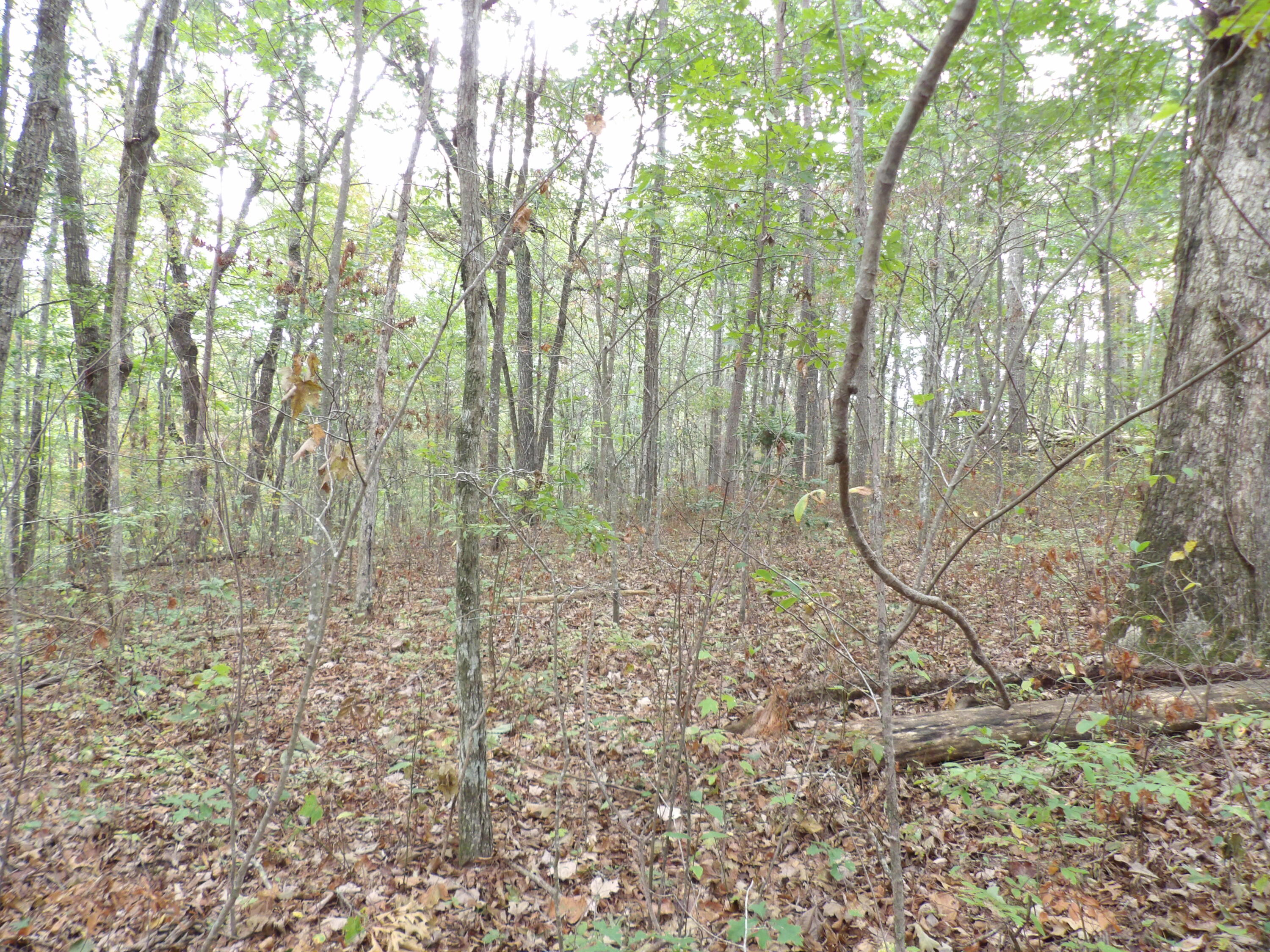 0 Deerhead Road, Unit 1 Dunlap, TN 37327 - Photo 19 of 29 100_0855