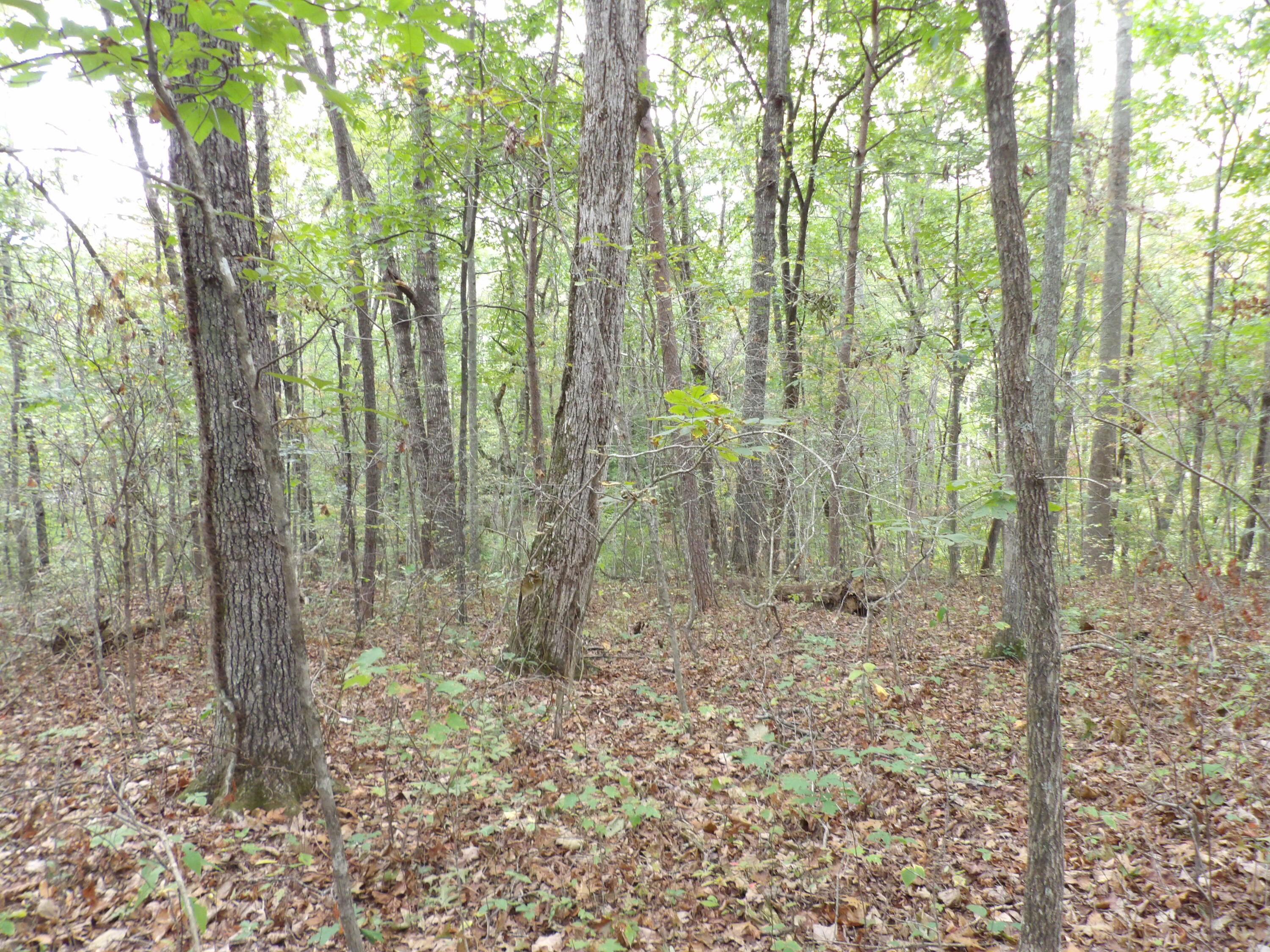 0 Deerhead Road, Unit 1 Dunlap, TN 37327 - Photo 20 of 29 100_0856